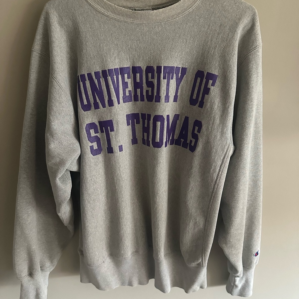 Champion Gray and Purple Crewneck Sweater